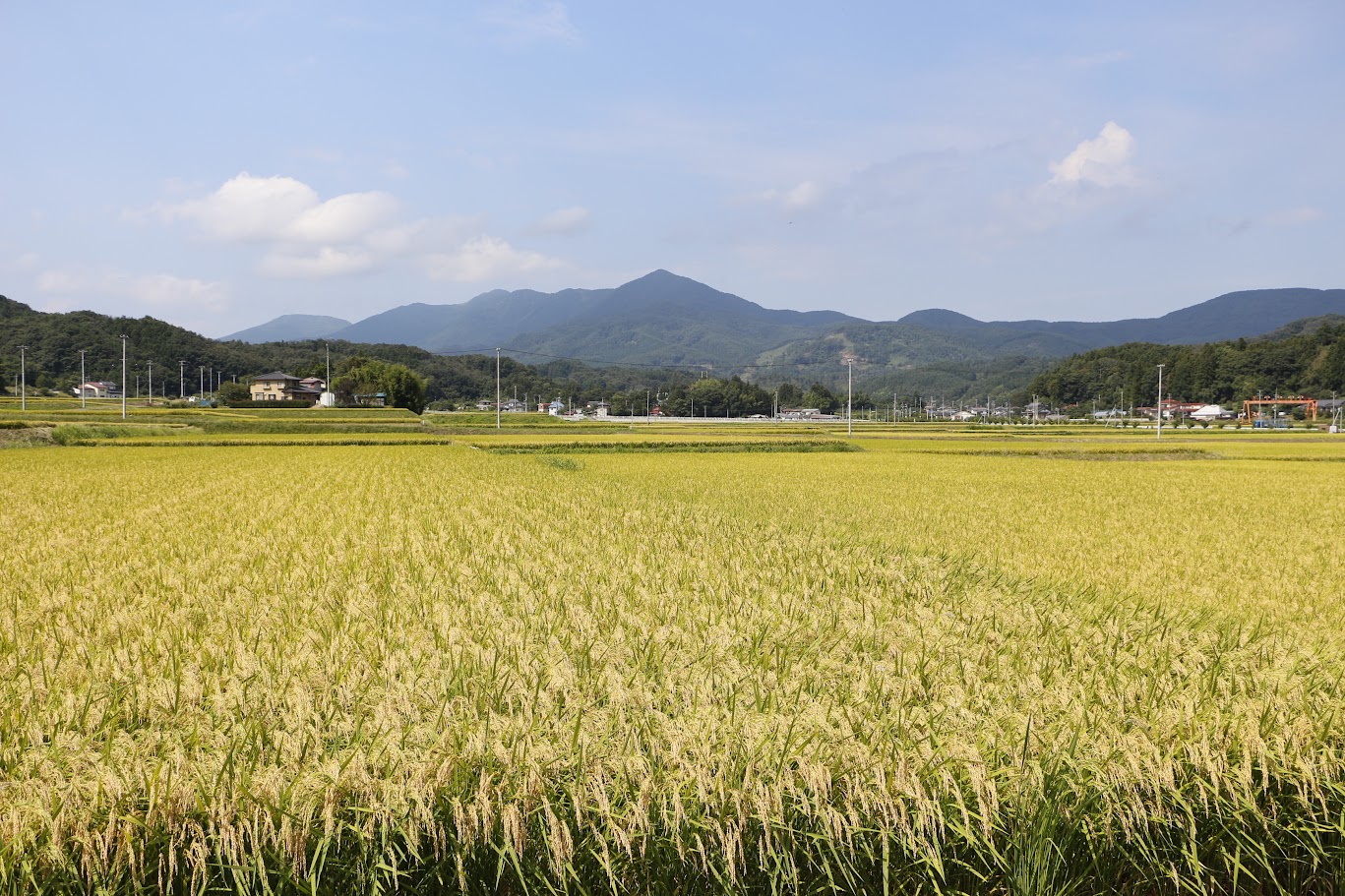 市街化調整区域の優れた売却プランを提供する信頼できるパートナー